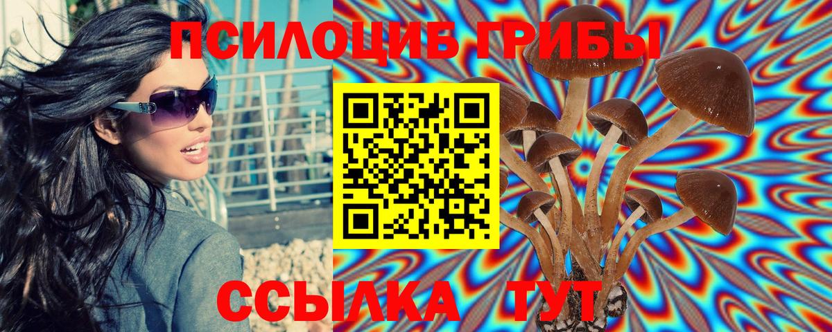 Псилоцибиновые грибы ЛСД  Вход с VPN  где можно купить наркотик  Кубинка 
